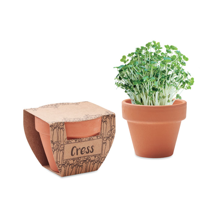 Seed products